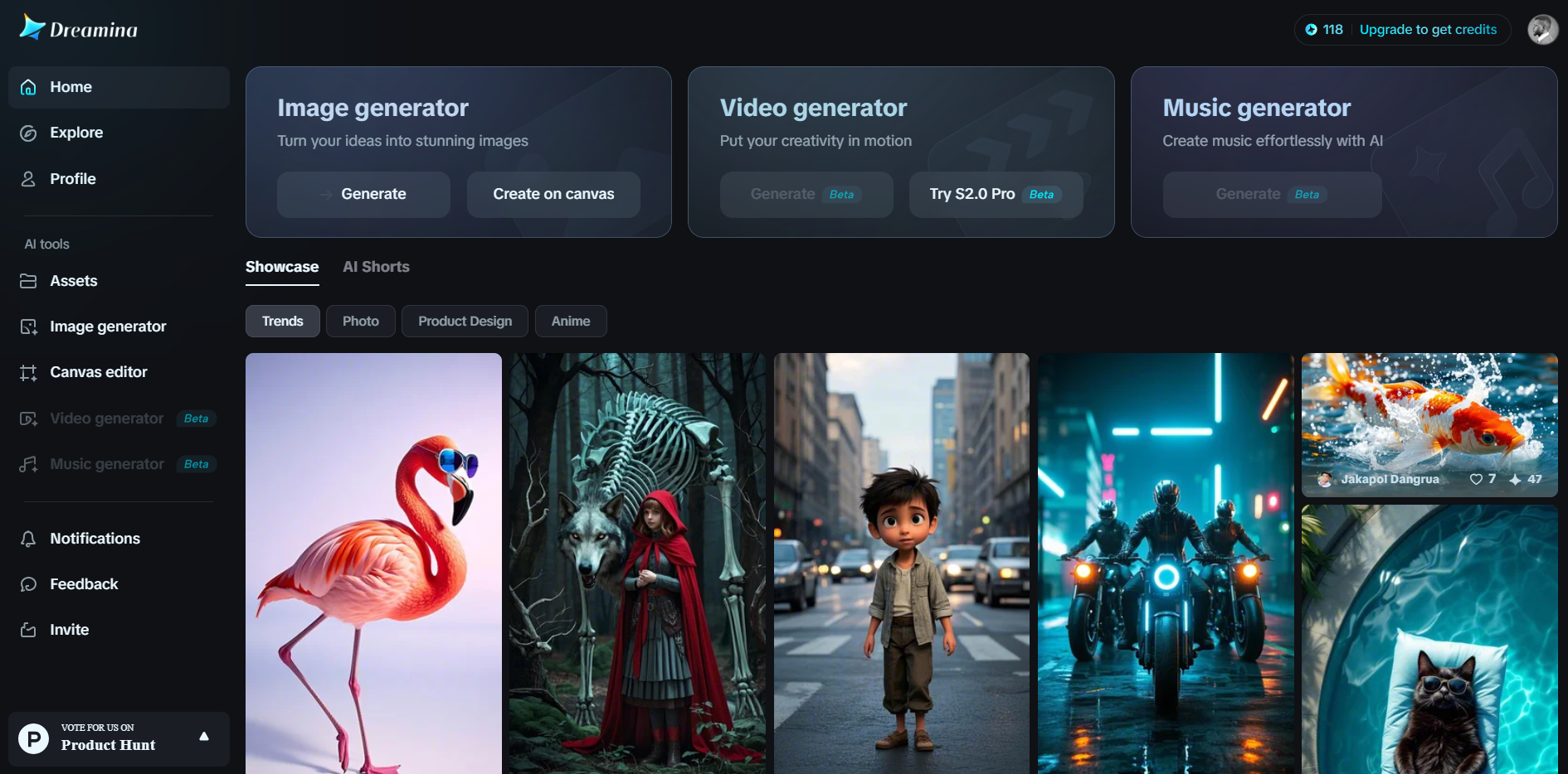 Dreamina-Schnittstelle