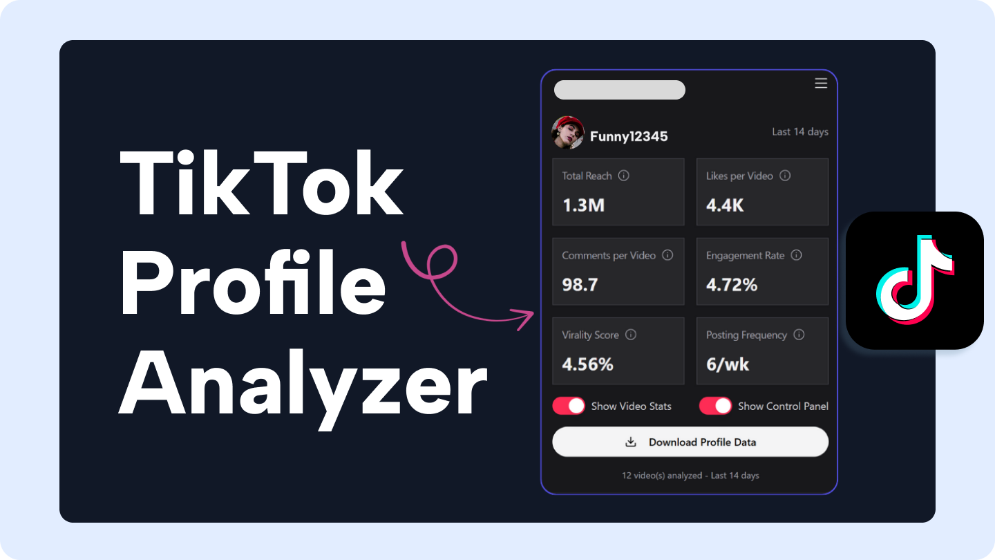 tiktok profile analyzer