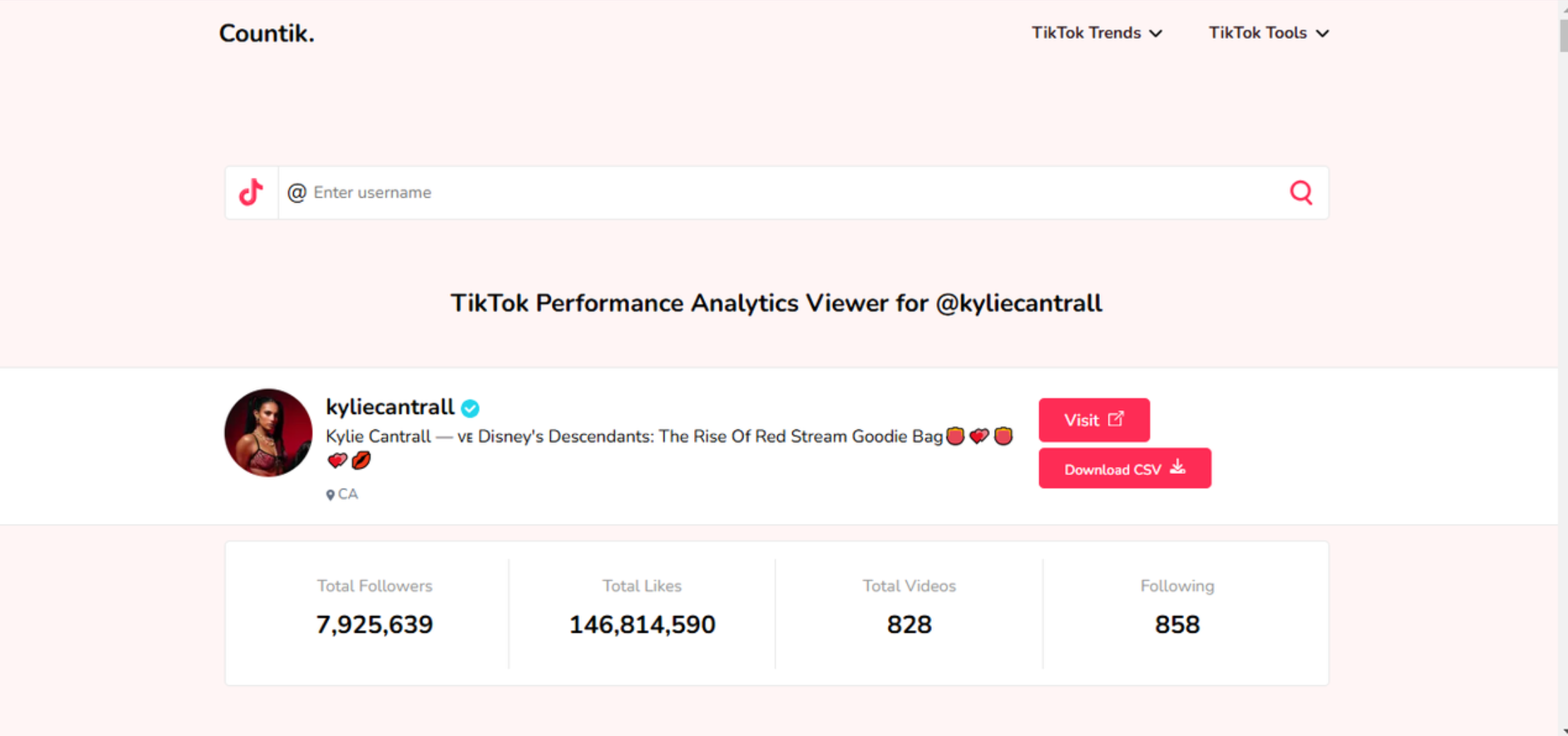 Interface of Countik - reliable tool for TikTok follower analysis