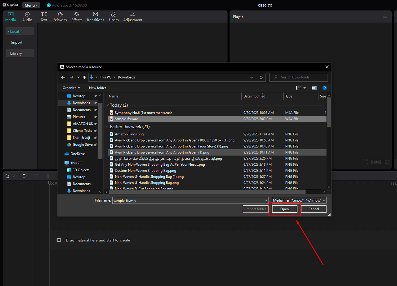 select the file from a specific system location