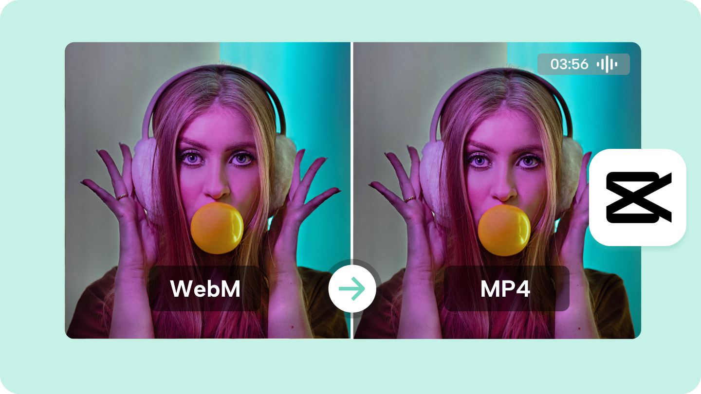 A diagram showing the process of changing a WebM video file into an MP4 file for broader offline playback and editing use.
