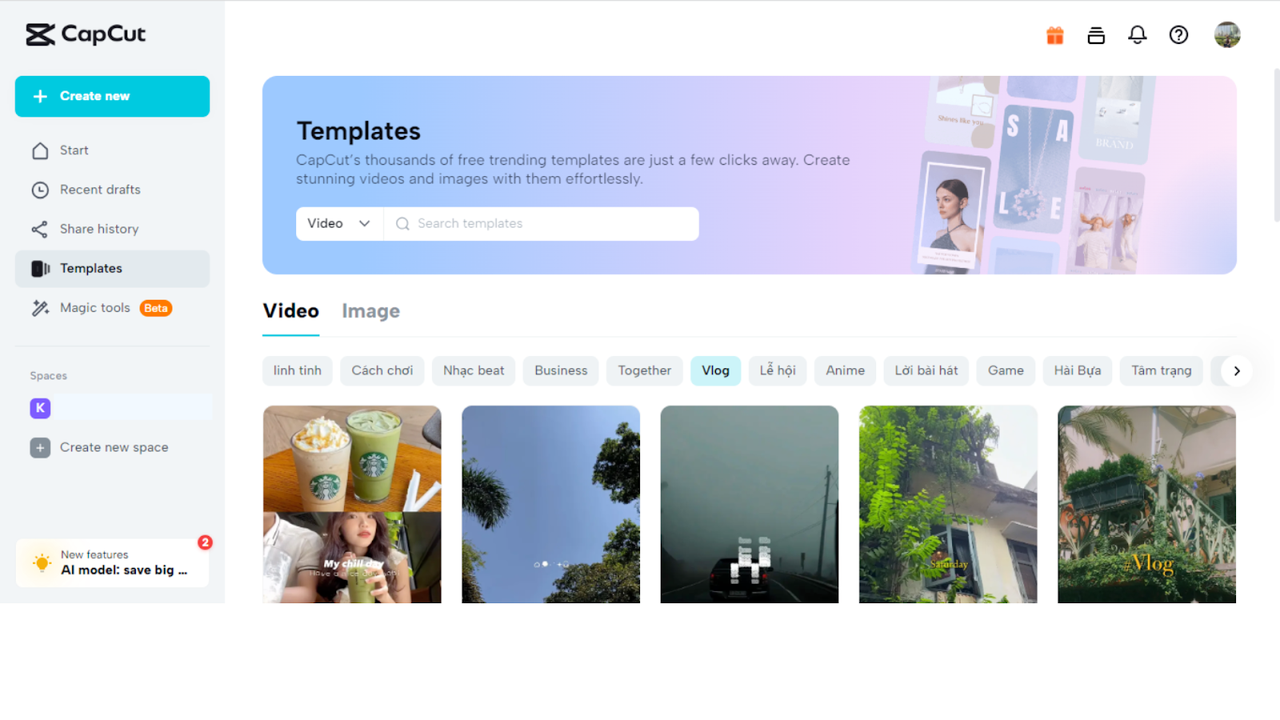 diverse and easy-to-use templates