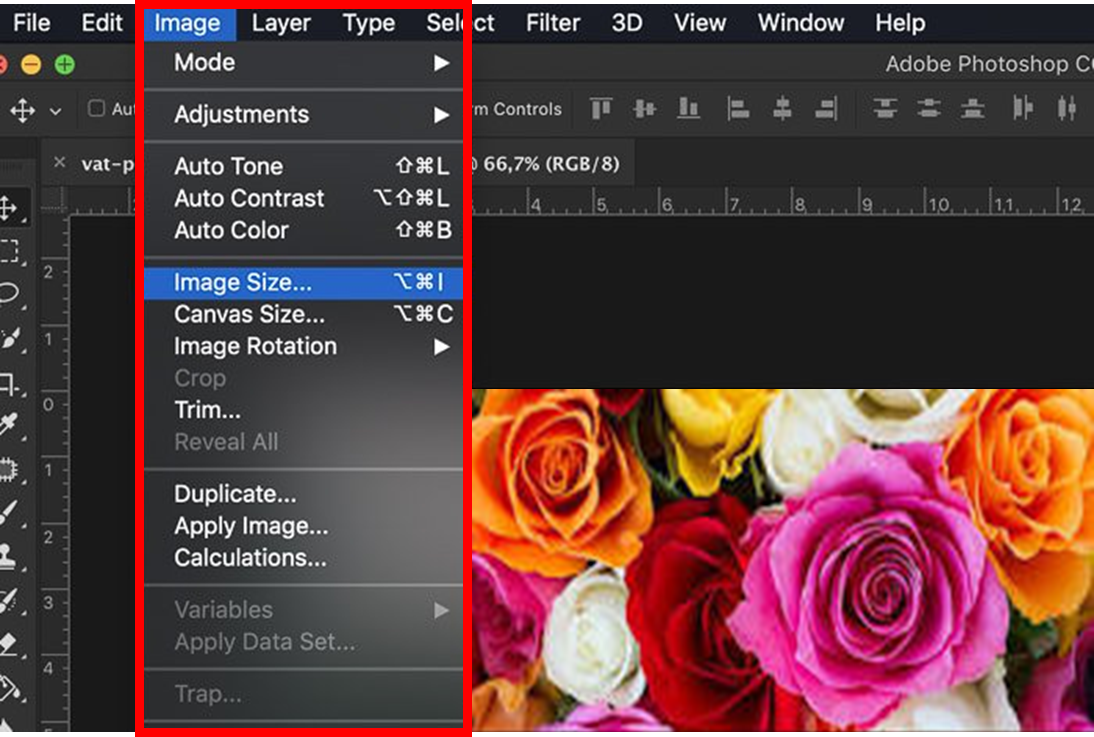 Select image size from the drop-down menu