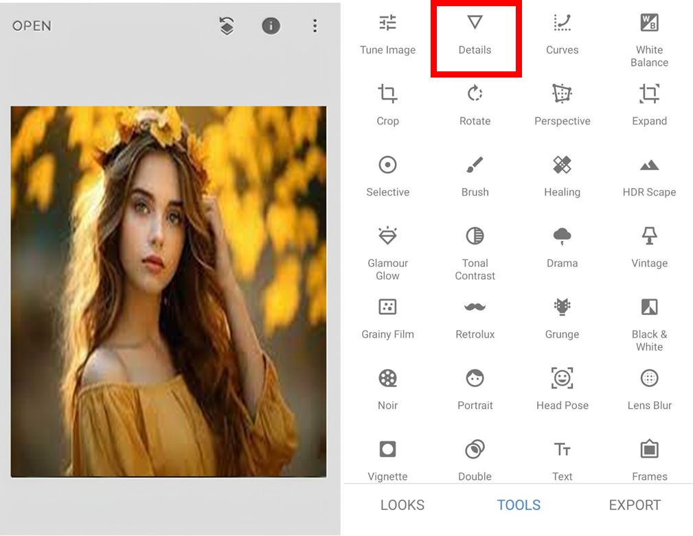 AI Sharpen Photos Online - Snapseed