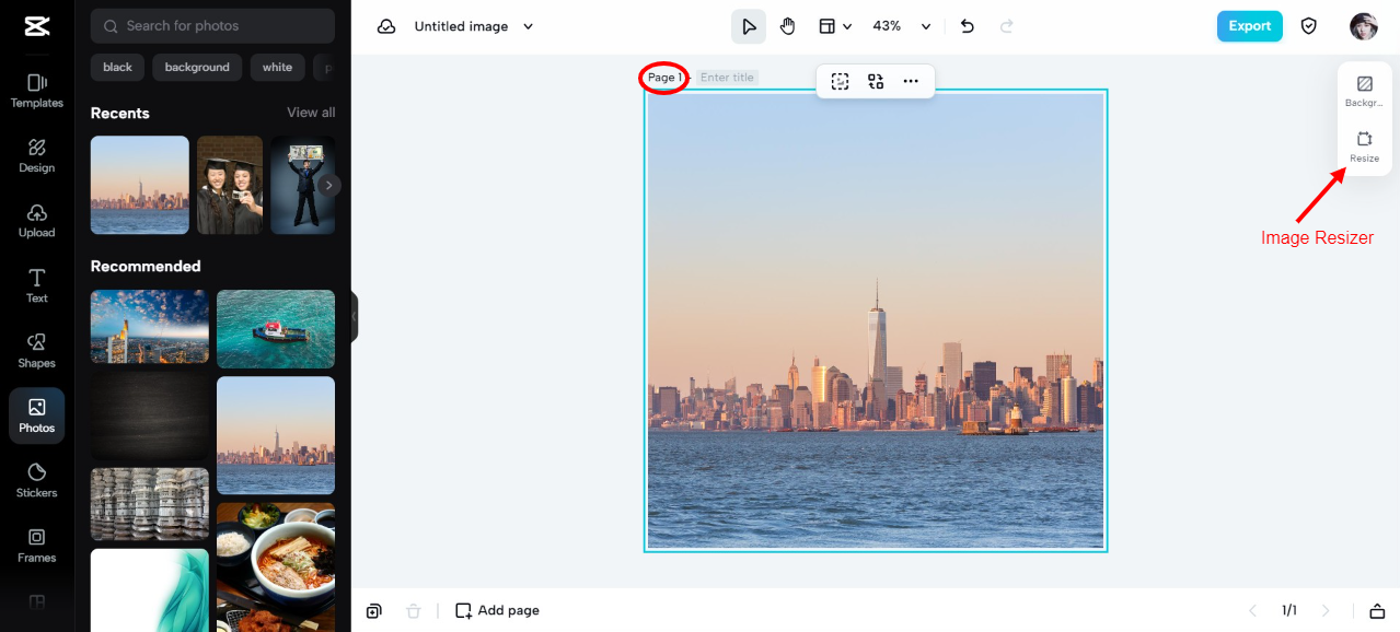Resize the image to icon size
