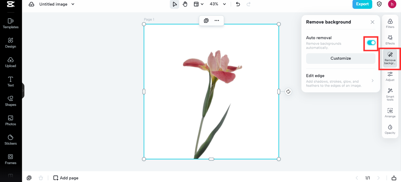 AI Background remover