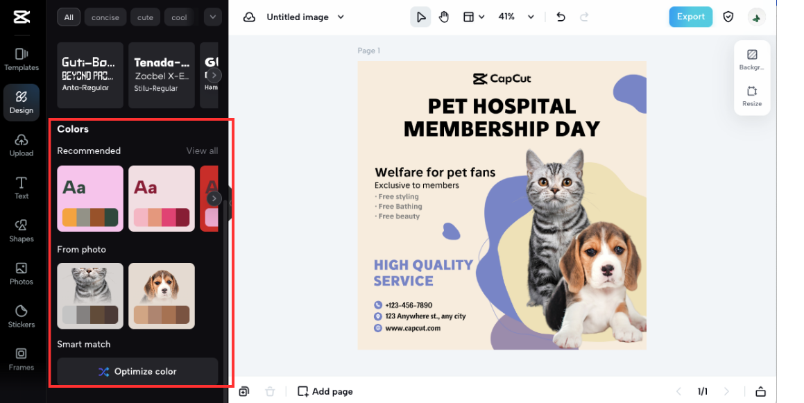 Cohesive branding through color themes and editing tools
