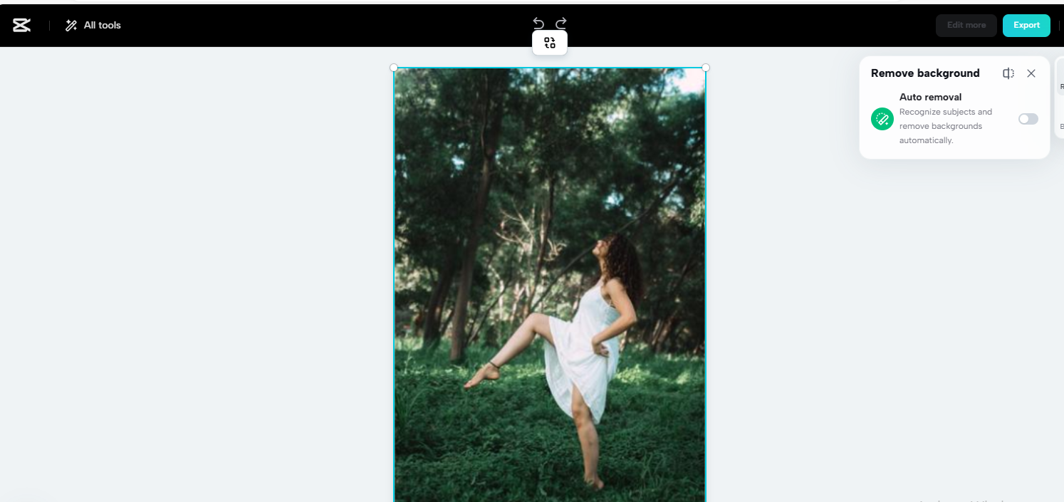 Sign in and upload your image