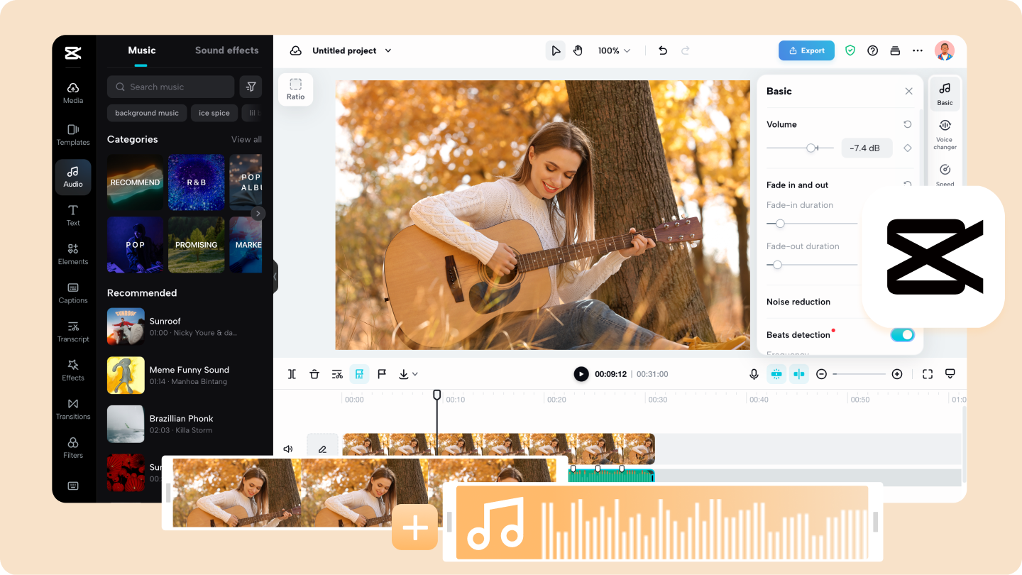 Combine Video and Audio 