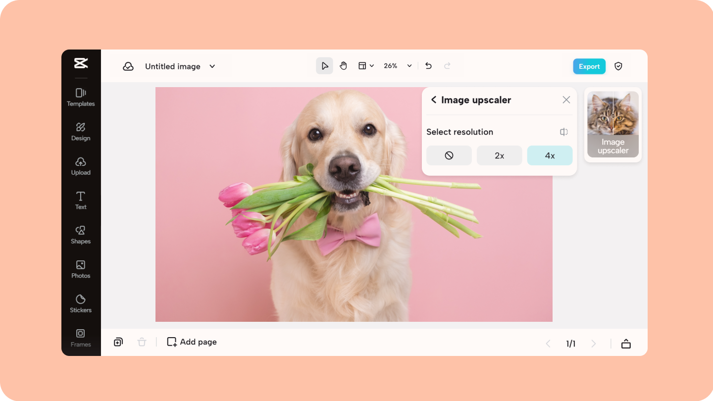 καλύτερη εικόνα upscaler 