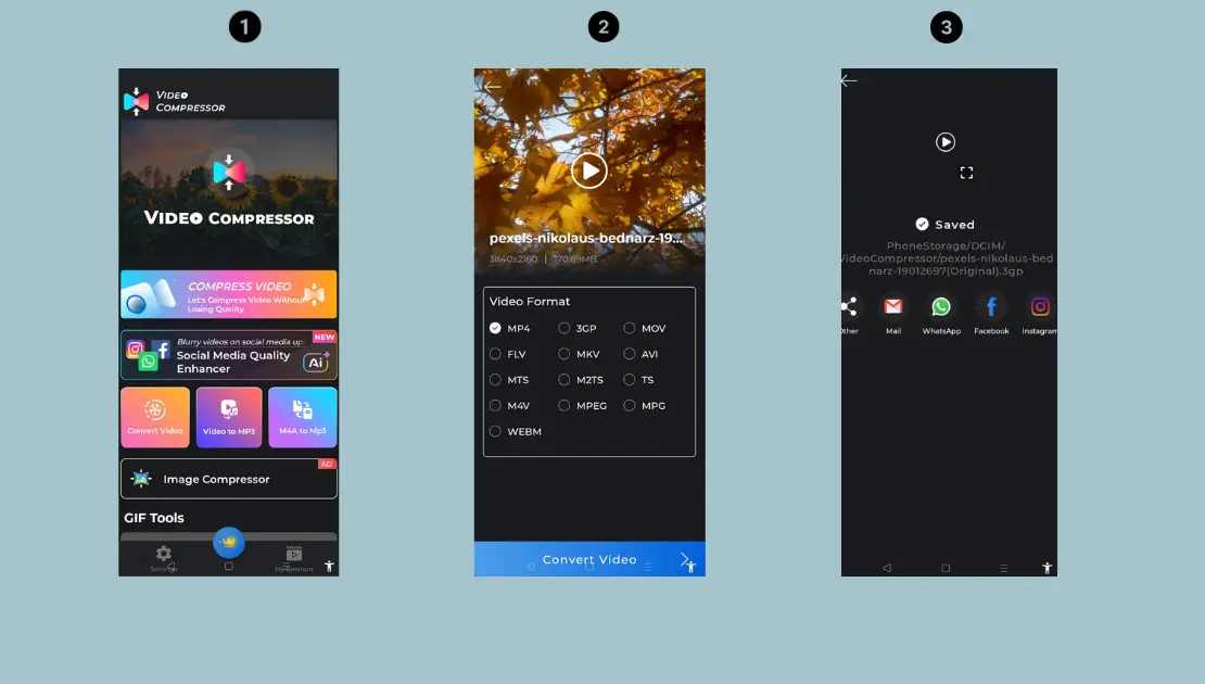 Video Compressor & Converter