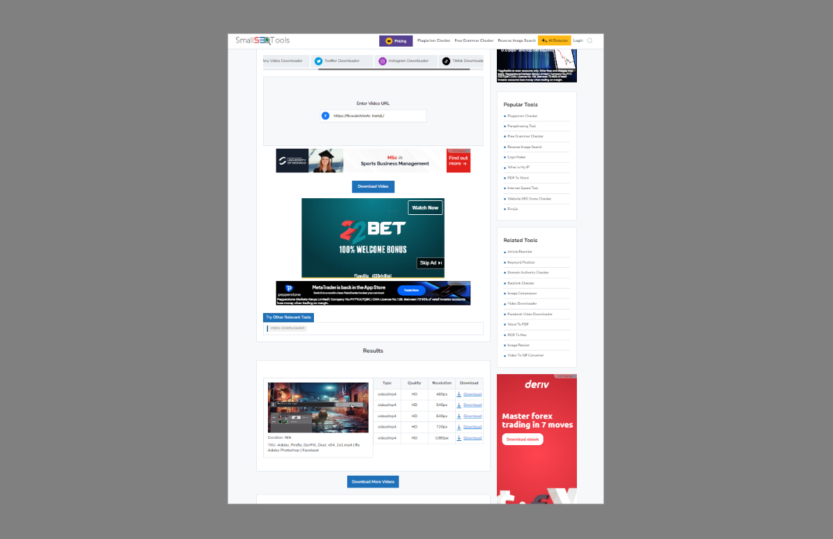 Facebook to MP4 converters - SmallSEOTools