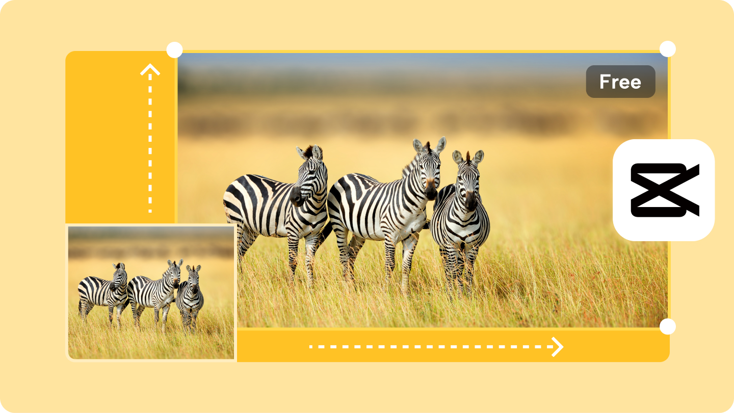 resize image without losing quality