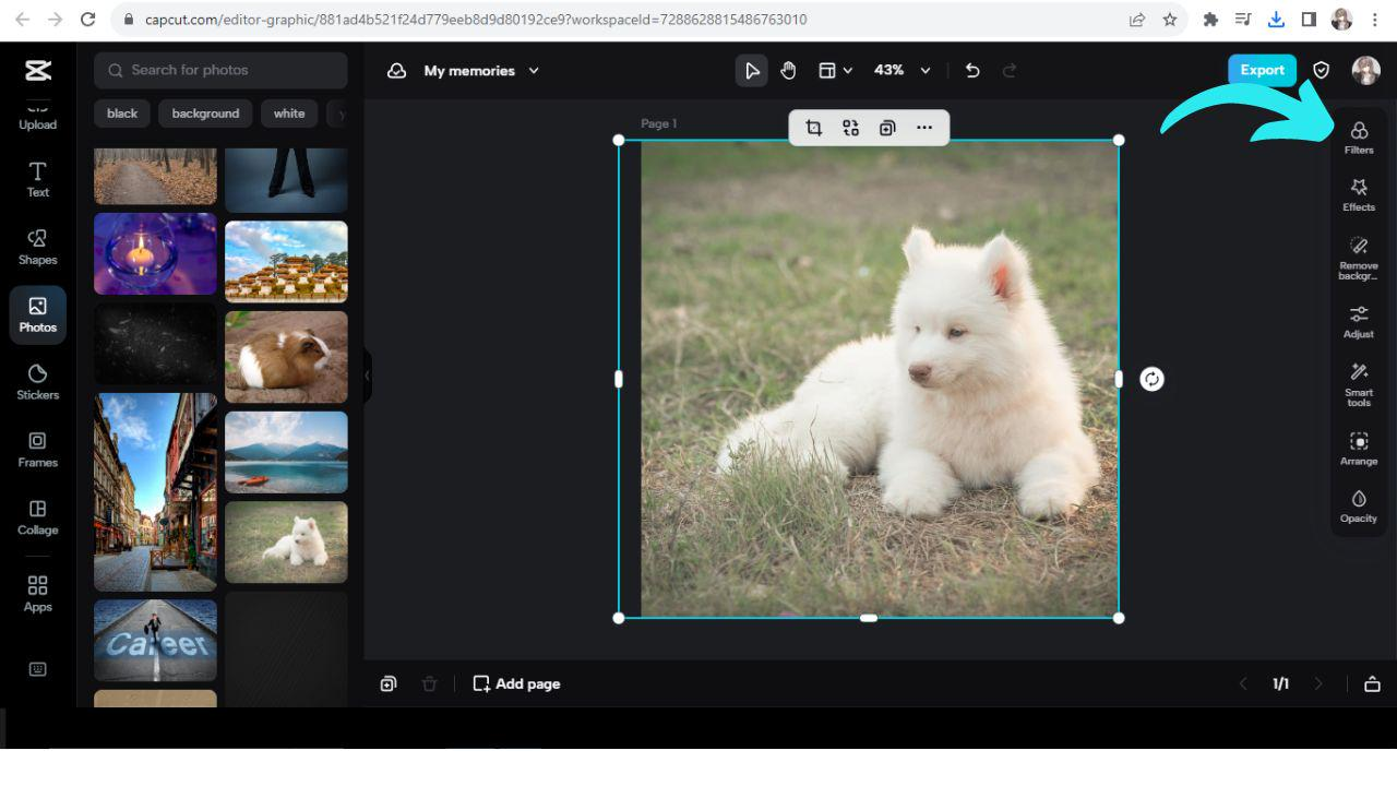 add effects and filters