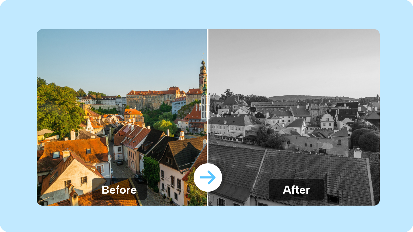 černobílé obrázky online