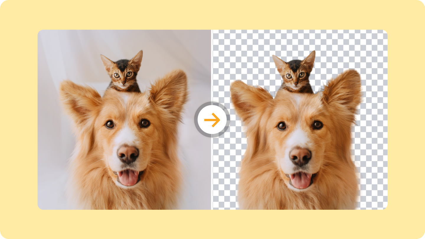 transparent background generator