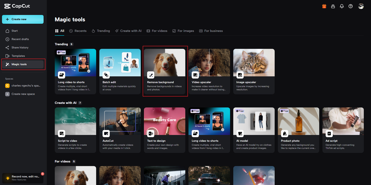 CapCut online background remover