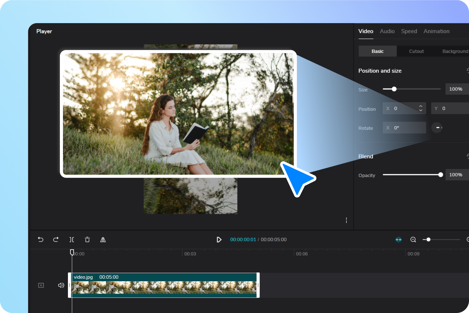 Putar video dalam talian