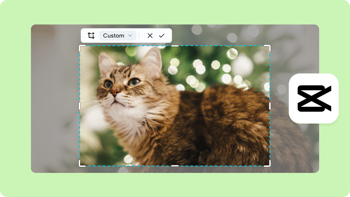 editor oříznutí fotografií