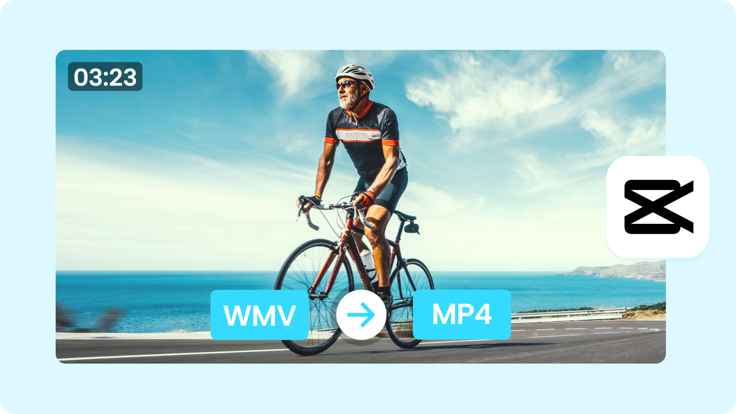 windows media video to mp4