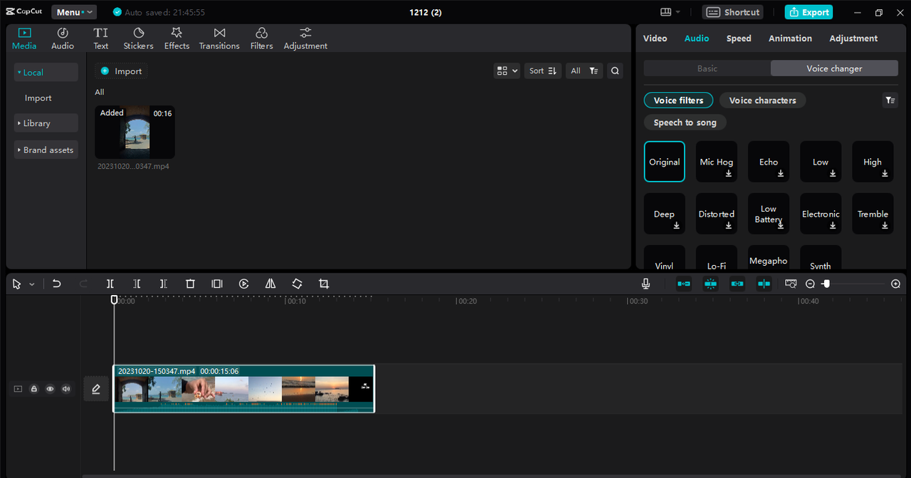 voice changer options