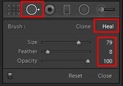 Spot removal settings in Lightroom