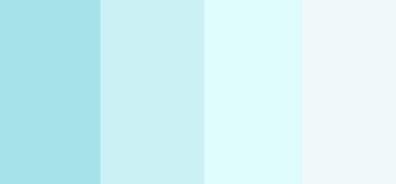 Pastel blue combination