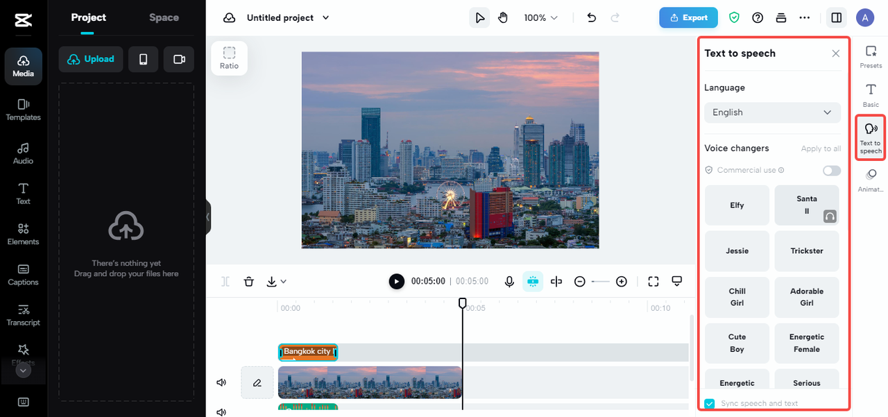 text-to-speech feature 