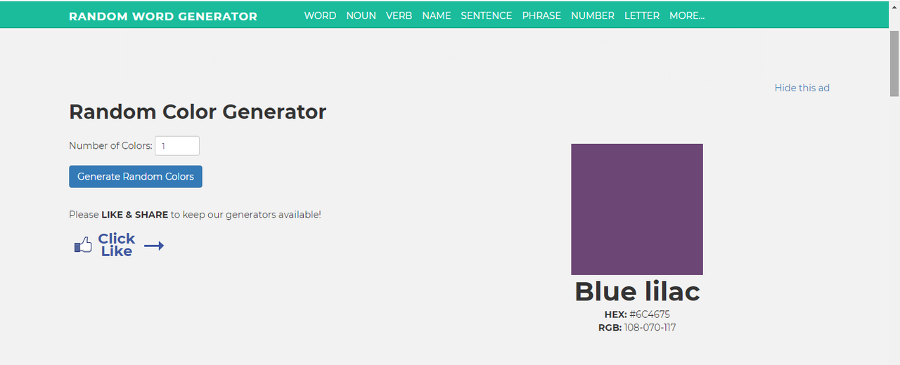 Random word generator's interface