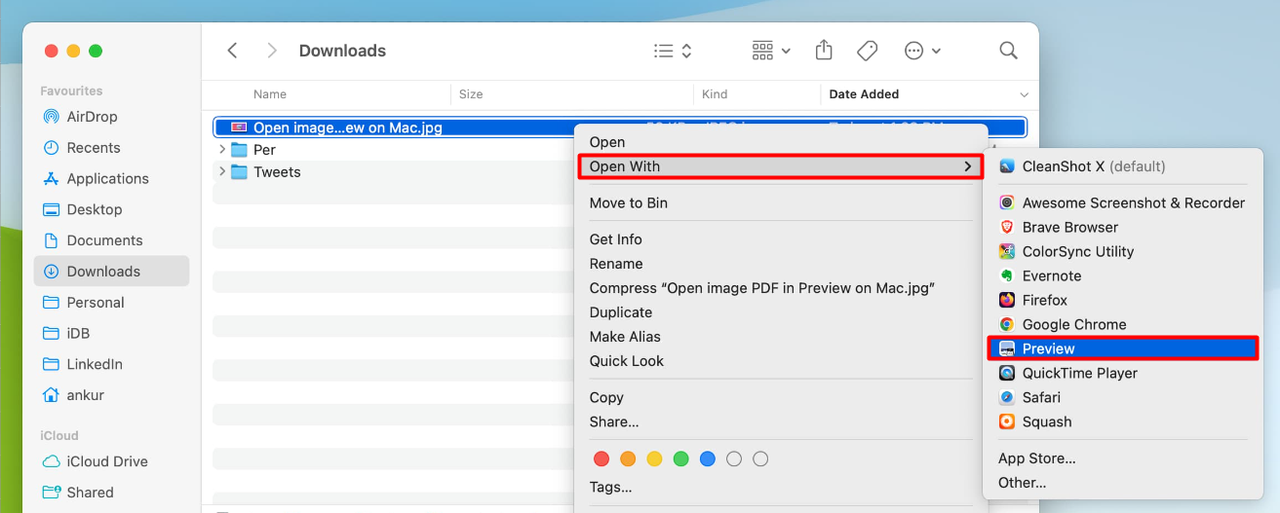 open the image in preview
