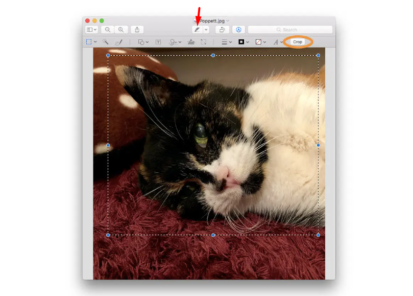 click the markup button