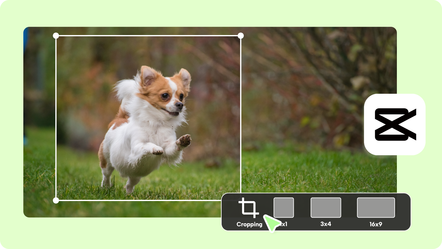 site web pour recadrer des images