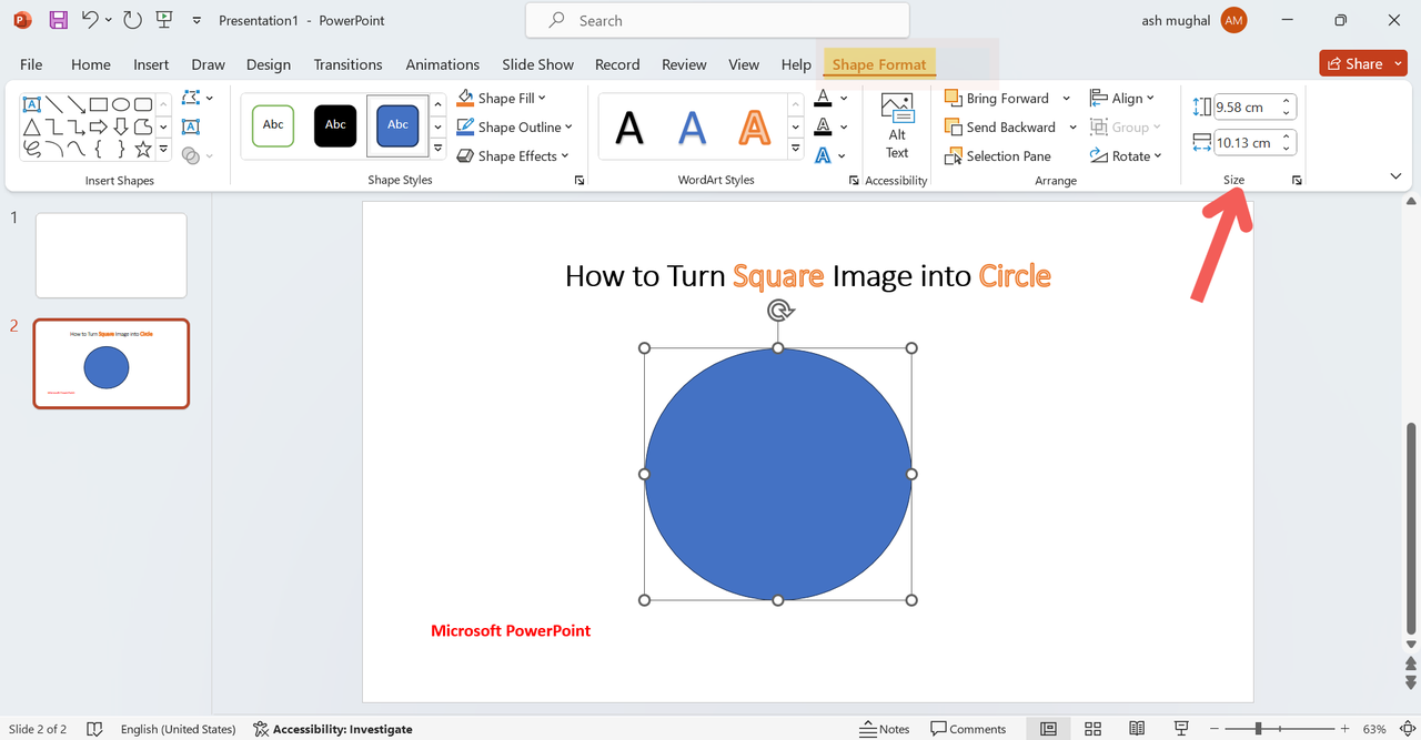insert a circle shape