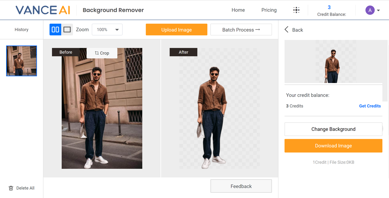 Vance AI's editing interface