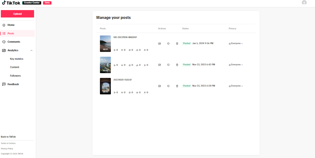 TikTok post management interface