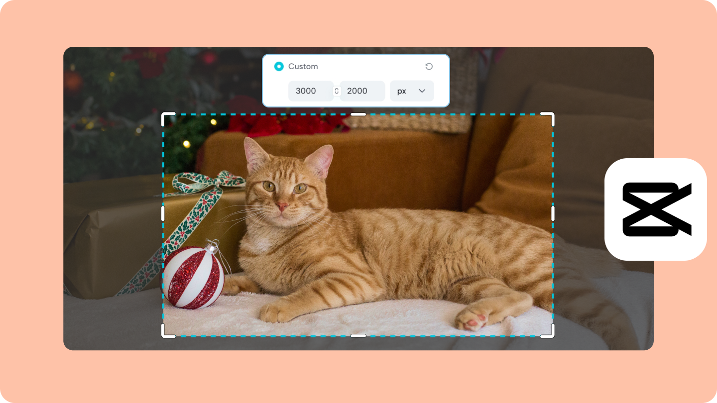 crop image by pixels