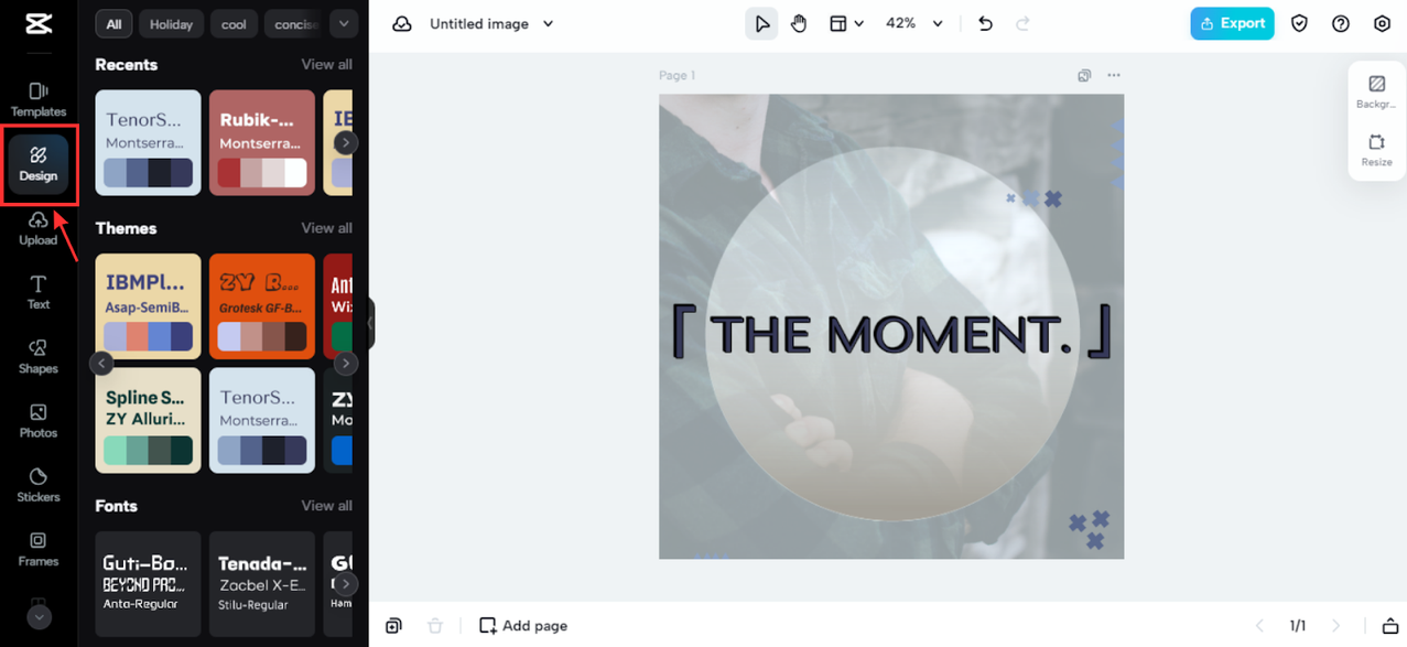 Color combinations and themes for fashion logo