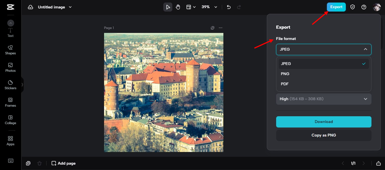 select the file format