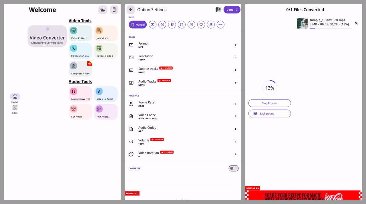 VidSoftLab AVI to MP4 video converter interface