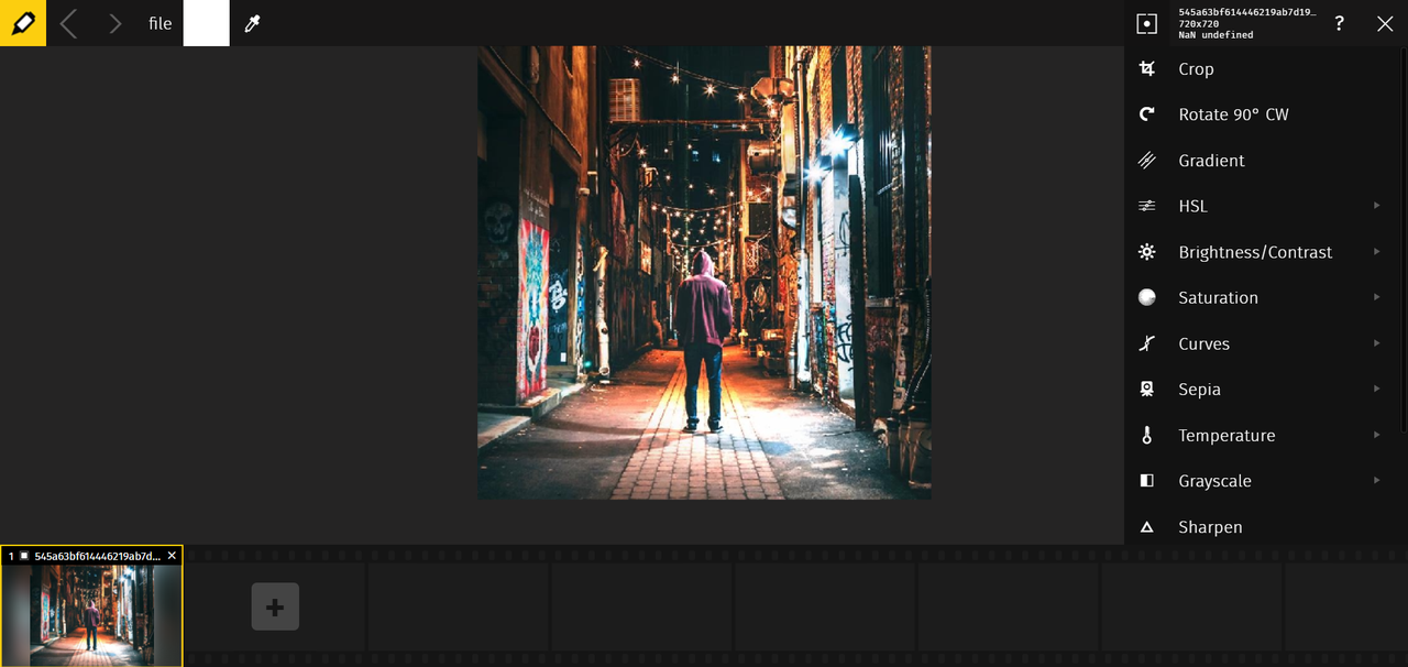 Pics.io editing interface