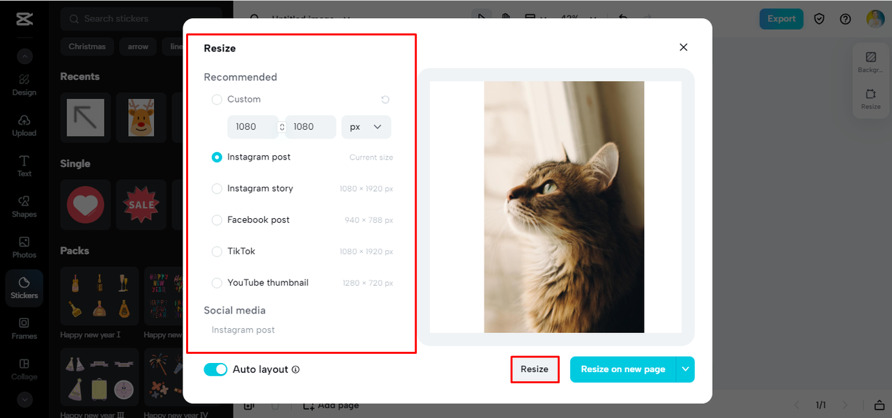 adjust the image size