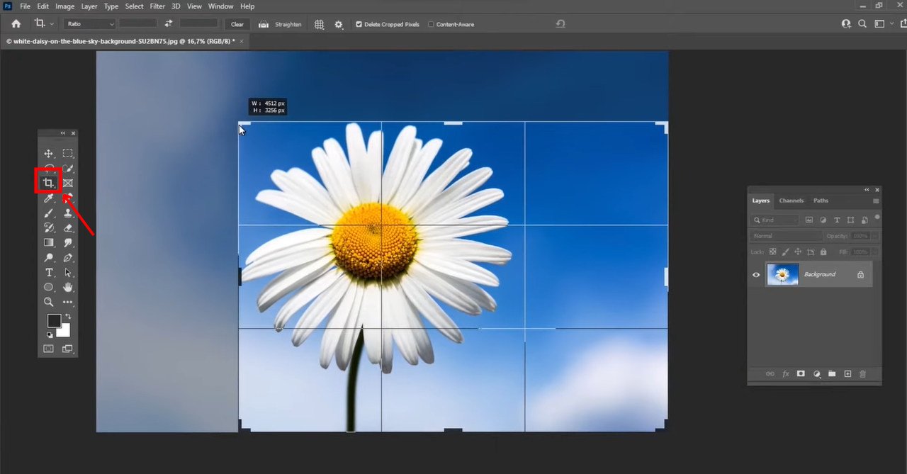 Select the area you want to crop
