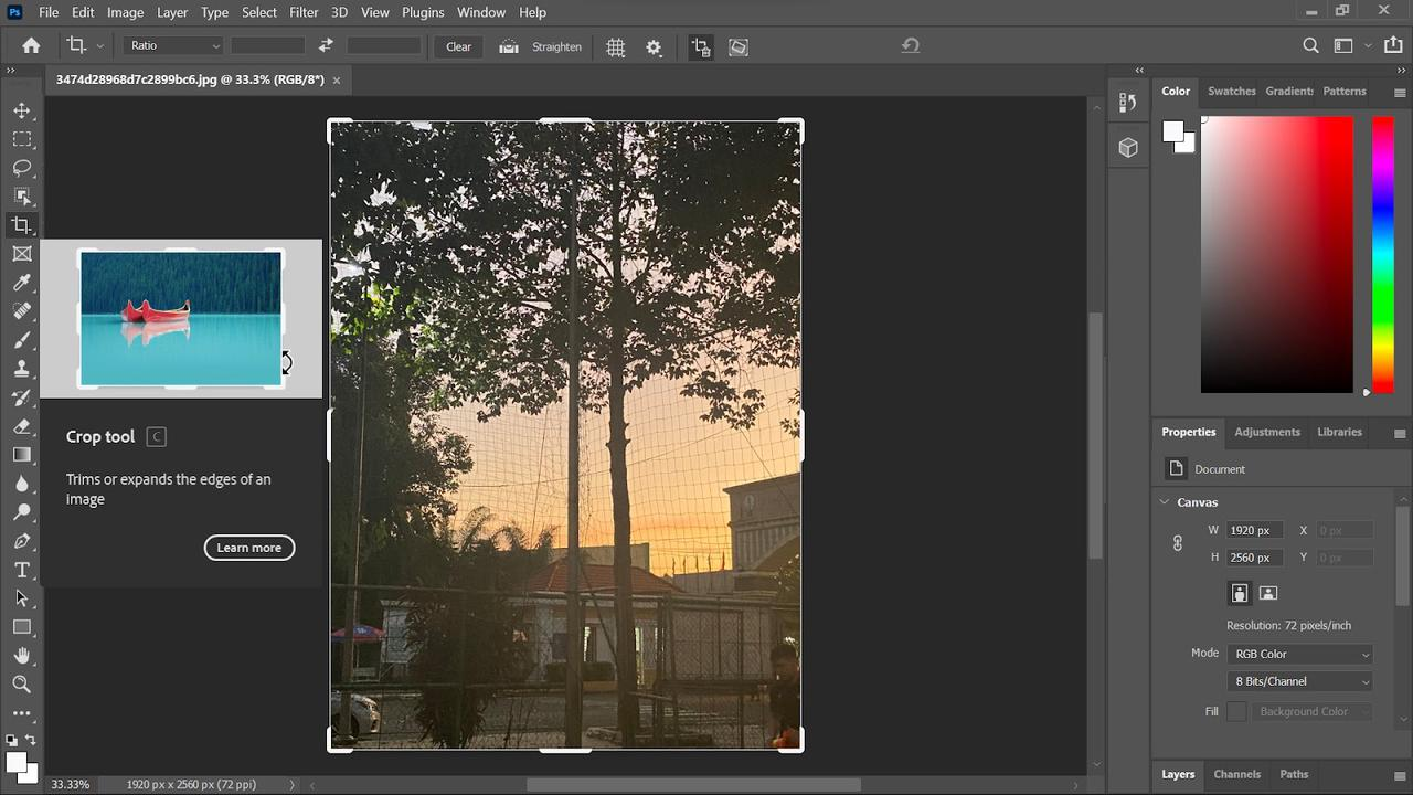 Select the crop tool