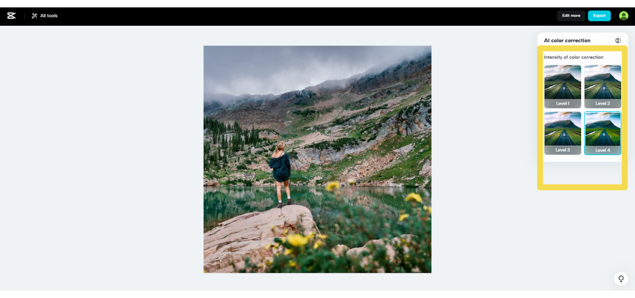 AI color correction' intensity levels