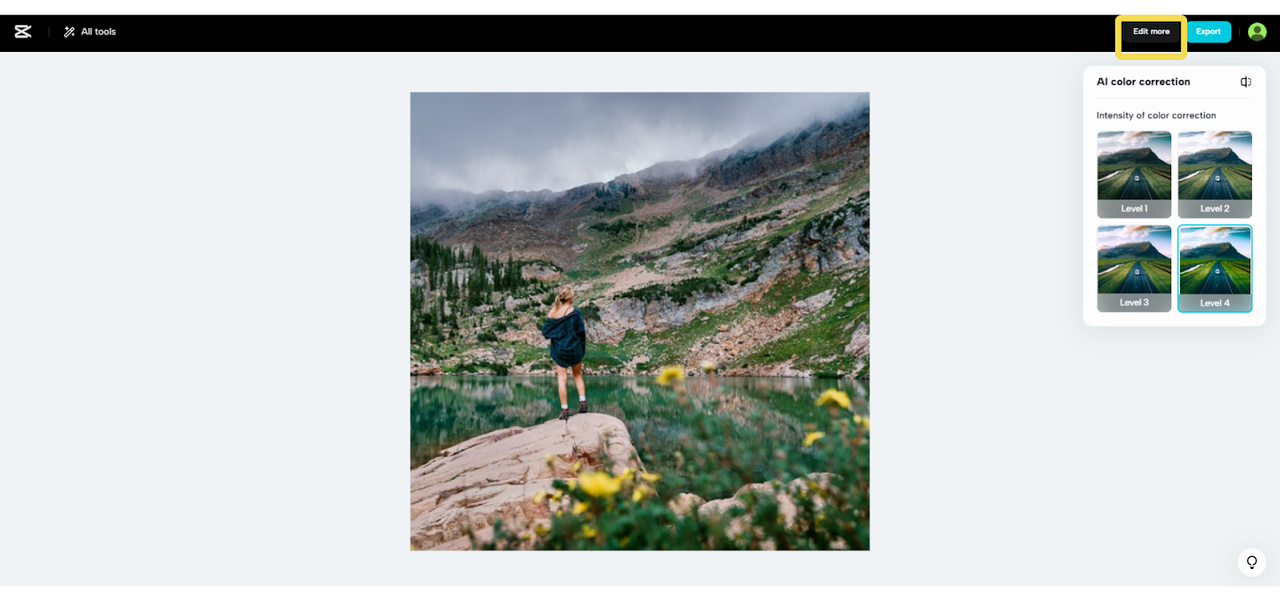 ‘Edit more’ button