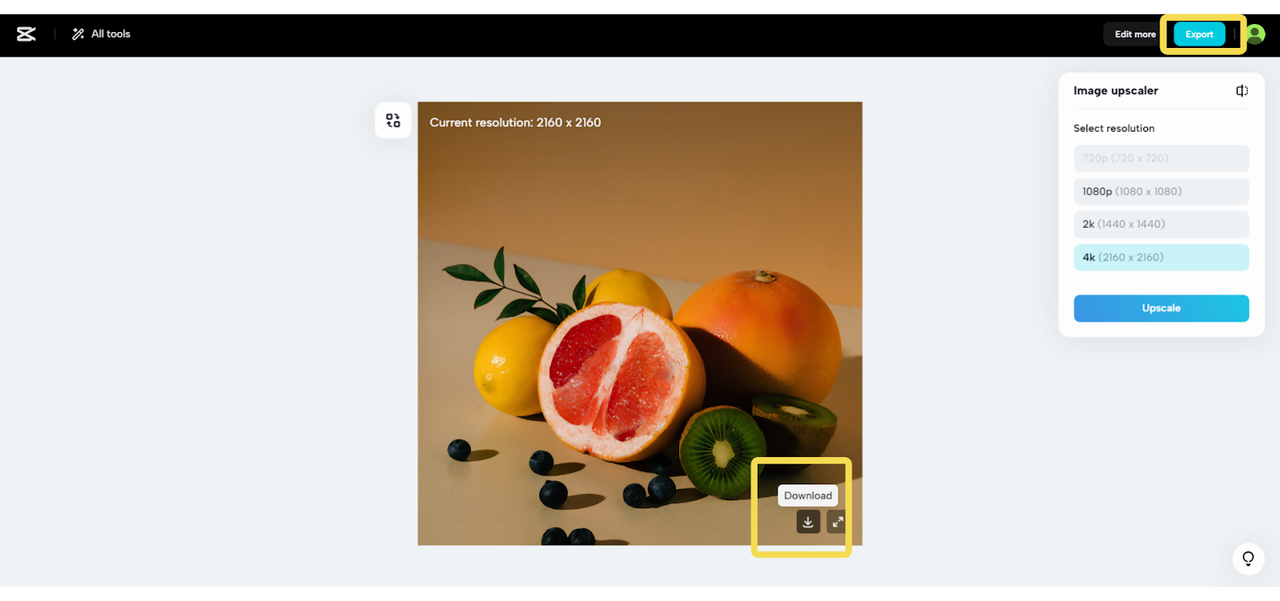 Download and Export button