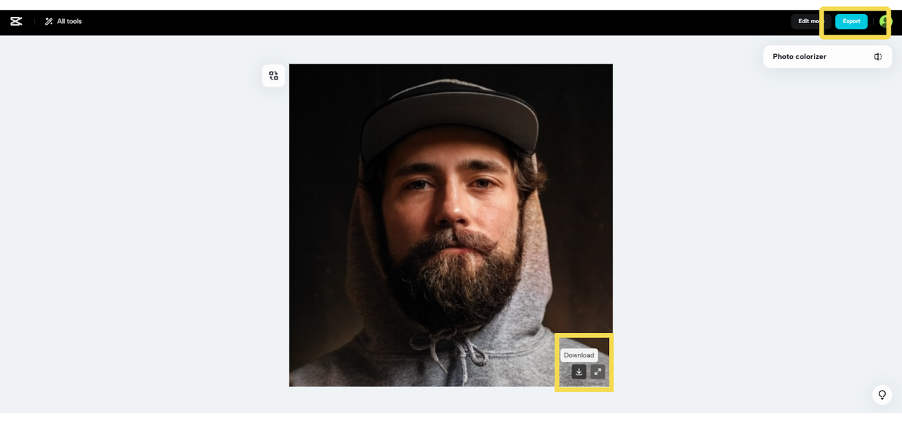 Download or export button