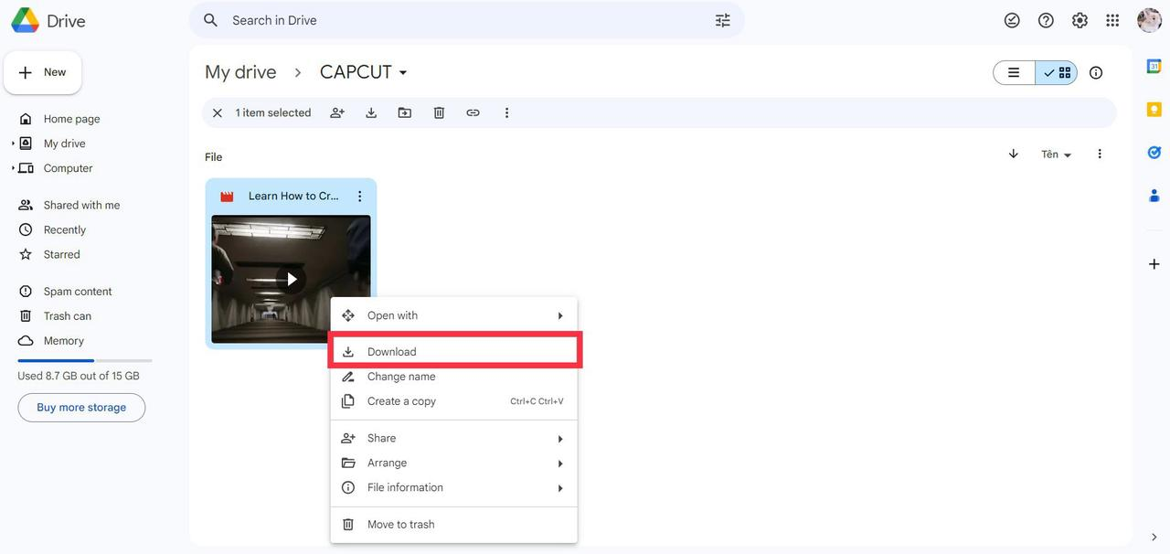 Download the video on Google Drive