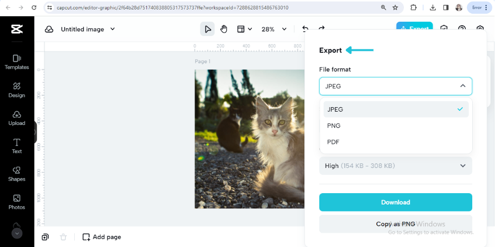select file format and download it
