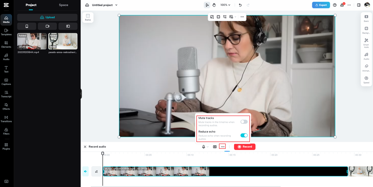 How to mute other tracks and reduce echo on the CapCut Windows audio capture tool